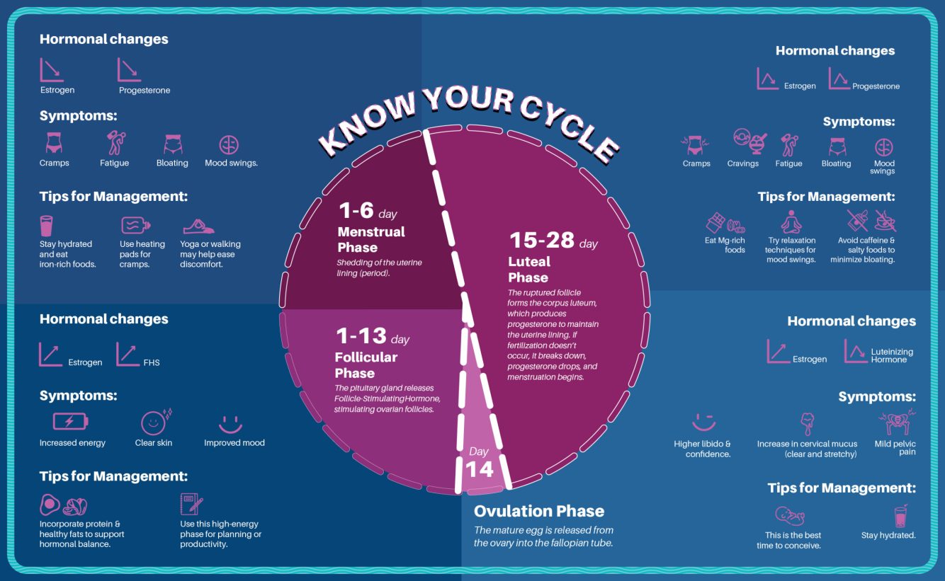 softandcare infographic@2x-100 (1)